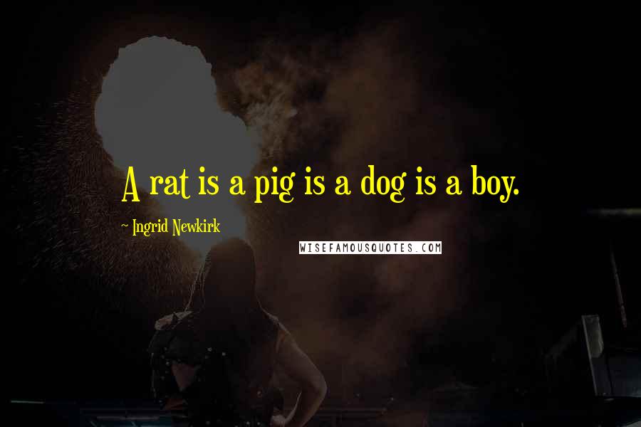 Ingrid Newkirk Quotes: A rat is a pig is a dog is a boy.