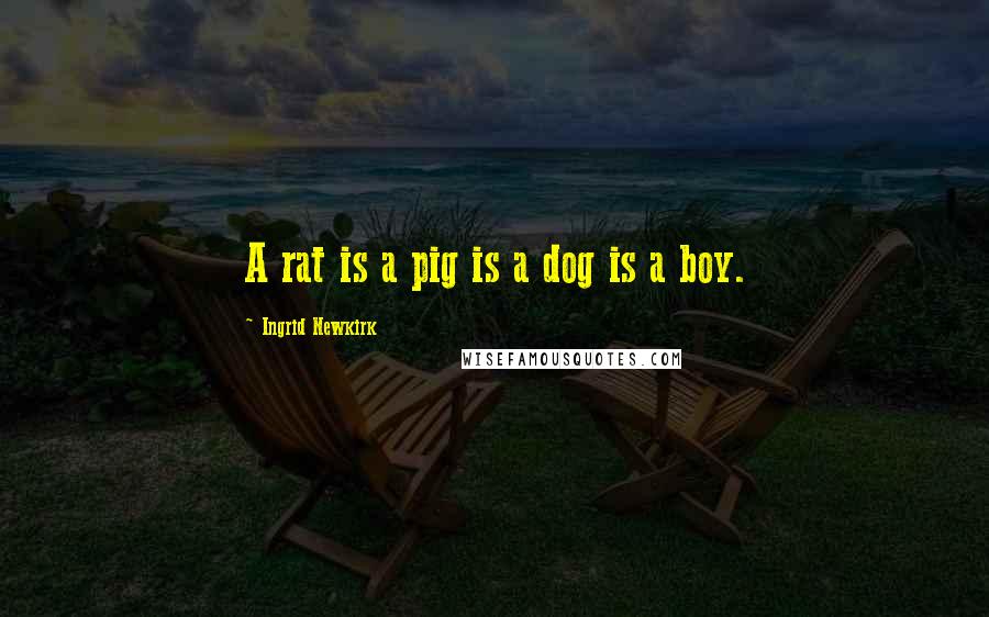 Ingrid Newkirk Quotes: A rat is a pig is a dog is a boy.