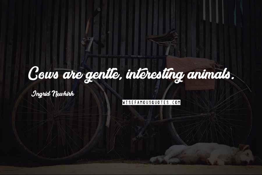 Ingrid Newkirk Quotes: Cows are gentle, interesting animals.