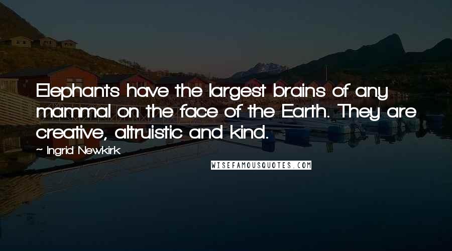 Ingrid Newkirk Quotes: Elephants have the largest brains of any mammal on the face of the Earth. They are creative, altruistic and kind.