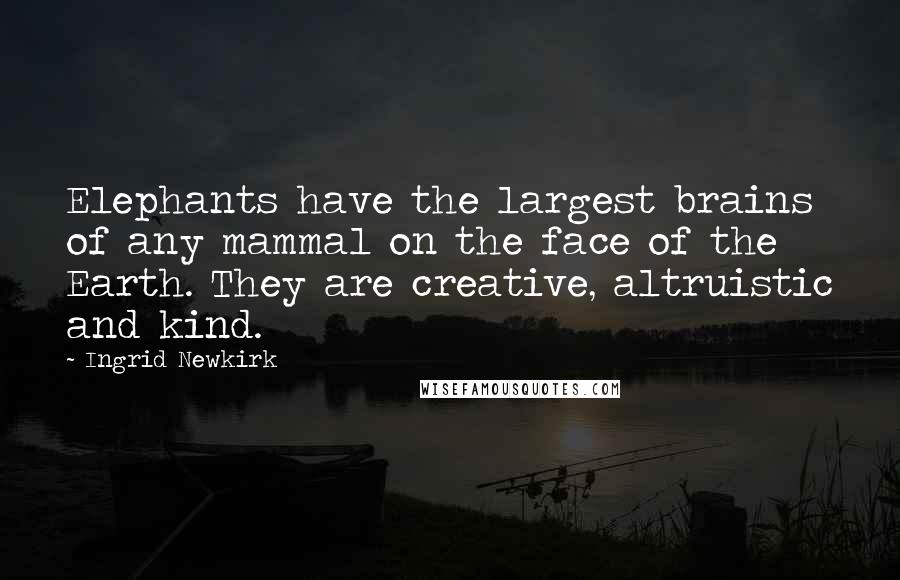 Ingrid Newkirk Quotes: Elephants have the largest brains of any mammal on the face of the Earth. They are creative, altruistic and kind.