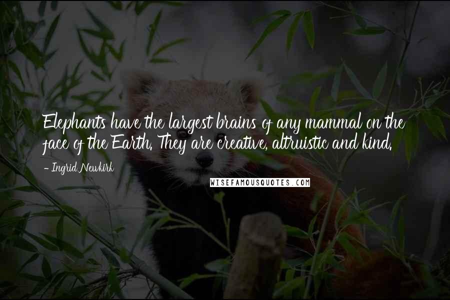 Ingrid Newkirk Quotes: Elephants have the largest brains of any mammal on the face of the Earth. They are creative, altruistic and kind.