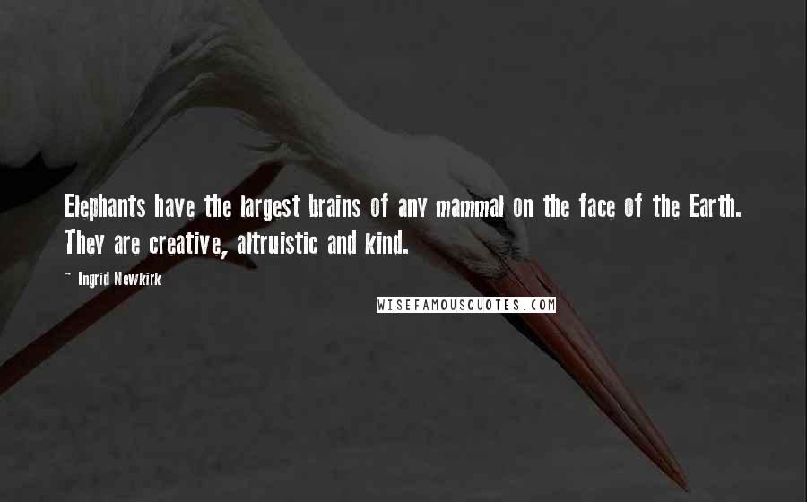 Ingrid Newkirk Quotes: Elephants have the largest brains of any mammal on the face of the Earth. They are creative, altruistic and kind.