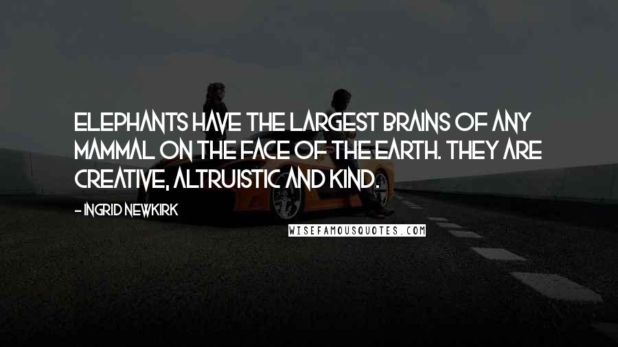 Ingrid Newkirk Quotes: Elephants have the largest brains of any mammal on the face of the Earth. They are creative, altruistic and kind.