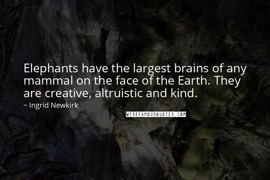 Ingrid Newkirk Quotes: Elephants have the largest brains of any mammal on the face of the Earth. They are creative, altruistic and kind.