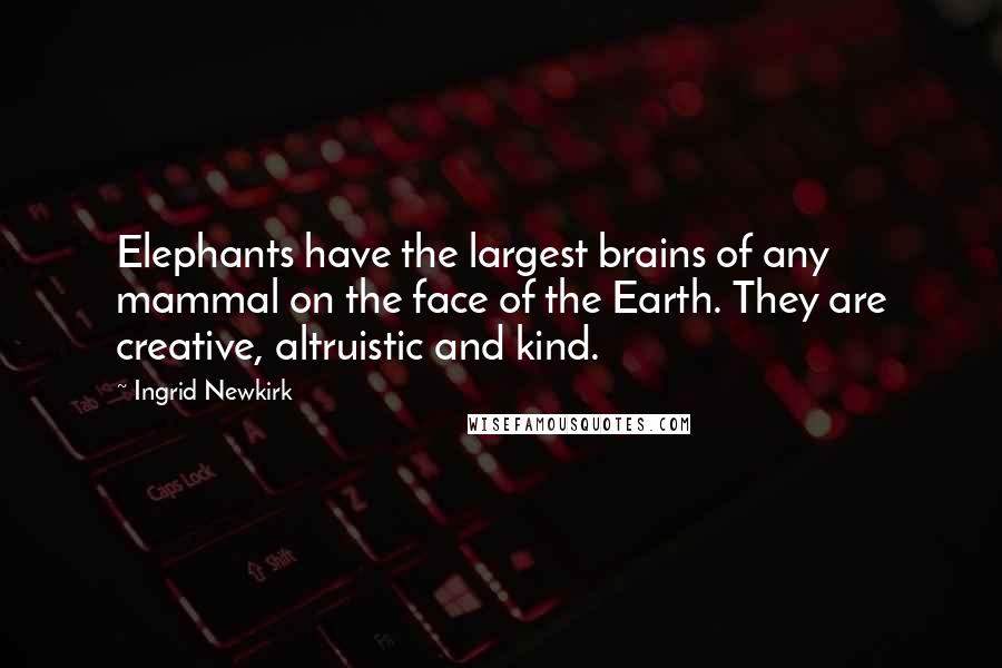 Ingrid Newkirk Quotes: Elephants have the largest brains of any mammal on the face of the Earth. They are creative, altruistic and kind.