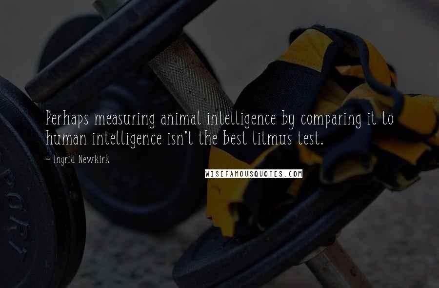 Ingrid Newkirk Quotes: Perhaps measuring animal intelligence by comparing it to human intelligence isn't the best litmus test.