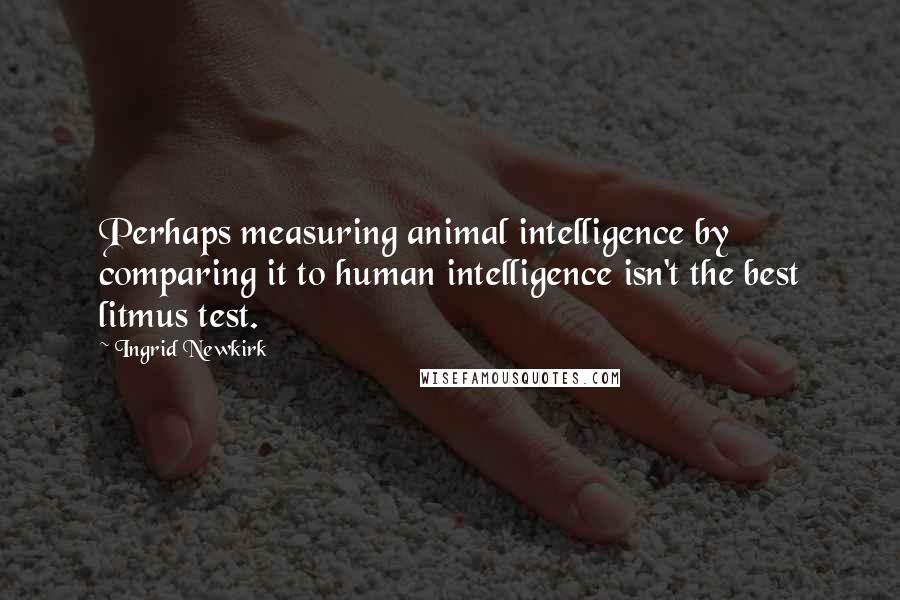Ingrid Newkirk Quotes: Perhaps measuring animal intelligence by comparing it to human intelligence isn't the best litmus test.