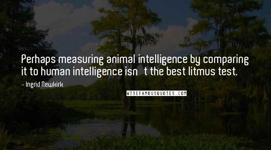 Ingrid Newkirk Quotes: Perhaps measuring animal intelligence by comparing it to human intelligence isn't the best litmus test.