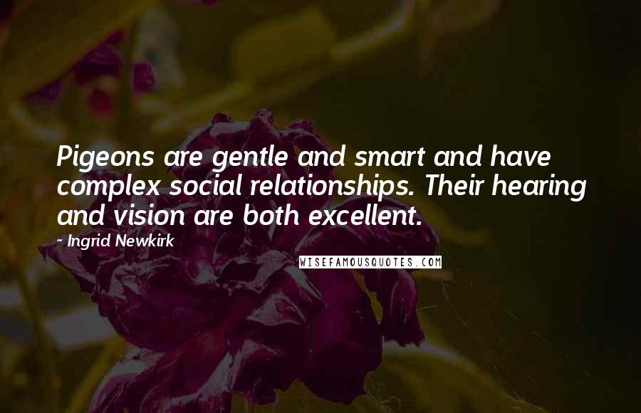 Ingrid Newkirk Quotes: Pigeons are gentle and smart and have complex social relationships. Their hearing and vision are both excellent.