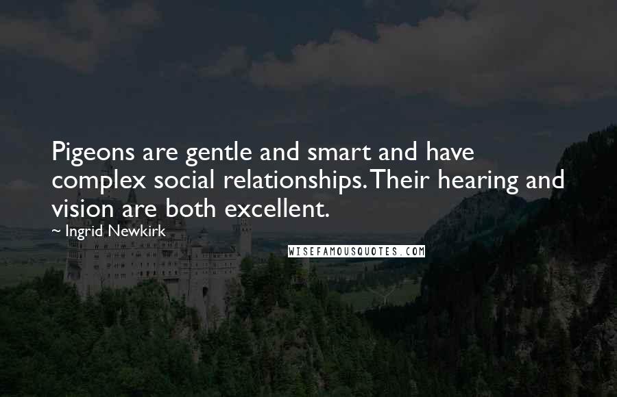 Ingrid Newkirk Quotes: Pigeons are gentle and smart and have complex social relationships. Their hearing and vision are both excellent.