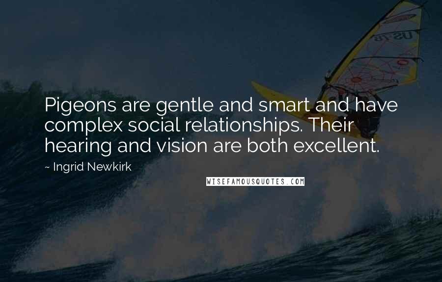 Ingrid Newkirk Quotes: Pigeons are gentle and smart and have complex social relationships. Their hearing and vision are both excellent.