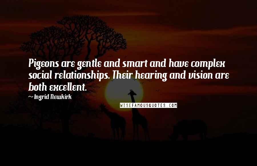 Ingrid Newkirk Quotes: Pigeons are gentle and smart and have complex social relationships. Their hearing and vision are both excellent.