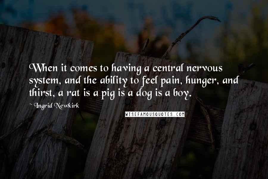 Ingrid Newkirk Quotes: When it comes to having a central nervous system, and the ability to feel pain, hunger, and thirst, a rat is a pig is a dog is a boy.