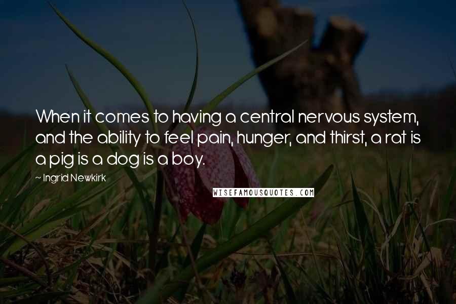 Ingrid Newkirk Quotes: When it comes to having a central nervous system, and the ability to feel pain, hunger, and thirst, a rat is a pig is a dog is a boy.