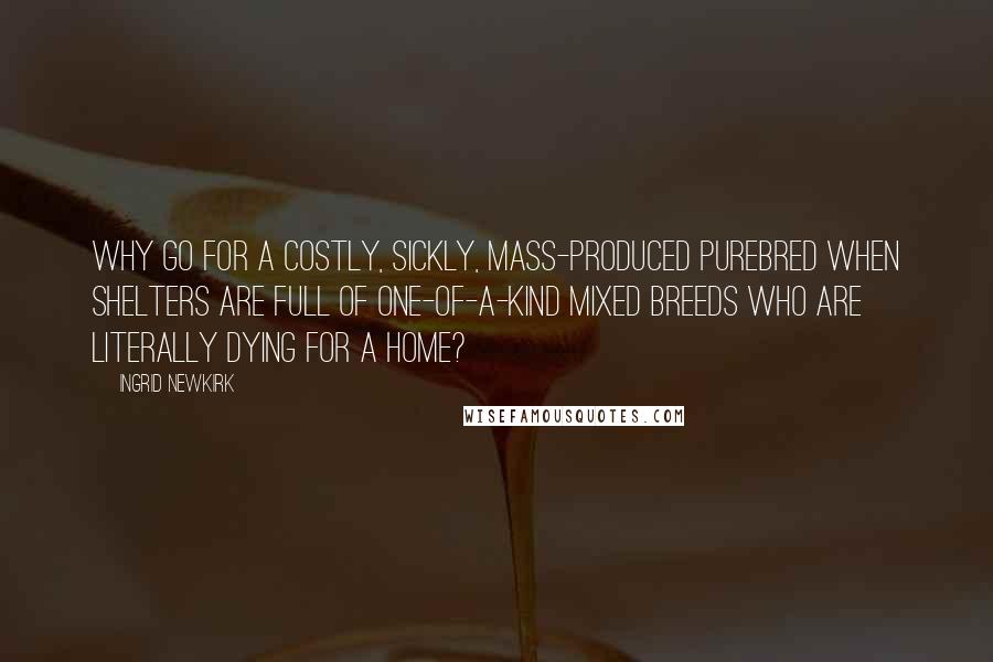 Ingrid Newkirk Quotes: Why go for a costly, sickly, mass-produced purebred when shelters are full of one-of-a-kind mixed breeds who are literally dying for a home?