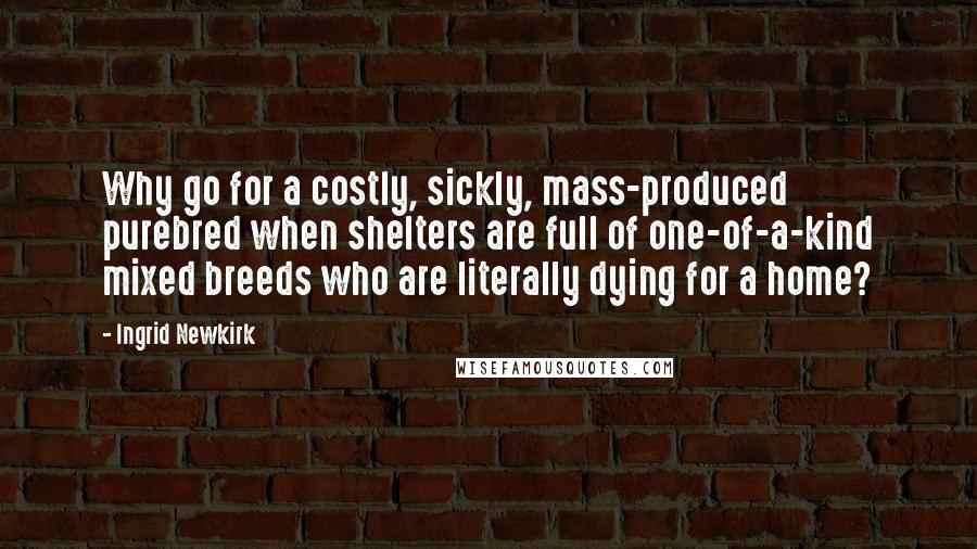 Ingrid Newkirk Quotes: Why go for a costly, sickly, mass-produced purebred when shelters are full of one-of-a-kind mixed breeds who are literally dying for a home?