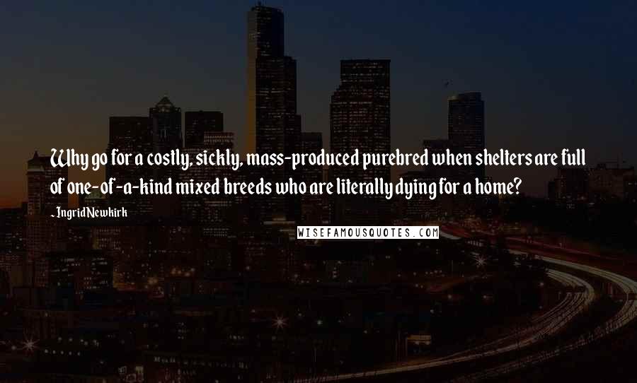 Ingrid Newkirk Quotes: Why go for a costly, sickly, mass-produced purebred when shelters are full of one-of-a-kind mixed breeds who are literally dying for a home?