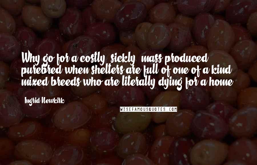 Ingrid Newkirk Quotes: Why go for a costly, sickly, mass-produced purebred when shelters are full of one-of-a-kind mixed breeds who are literally dying for a home?