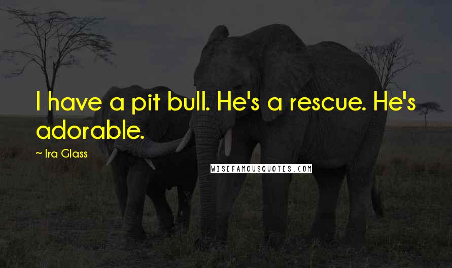 Ira Glass Quotes: I have a pit bull. He's a rescue. He's adorable.