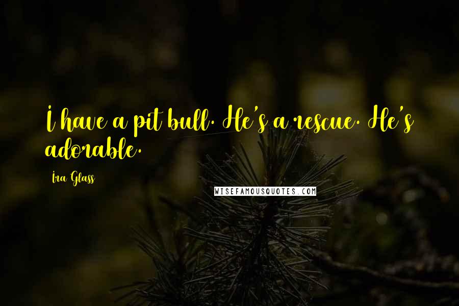 Ira Glass Quotes: I have a pit bull. He's a rescue. He's adorable.