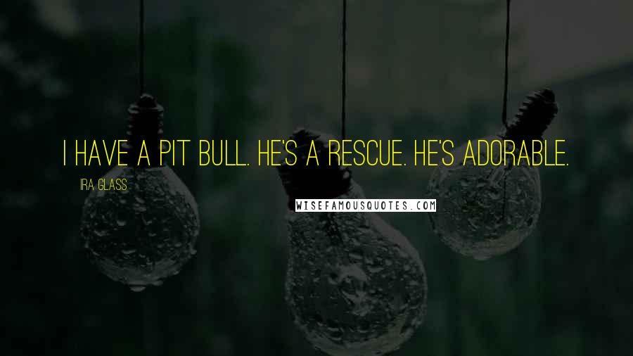 Ira Glass Quotes: I have a pit bull. He's a rescue. He's adorable.