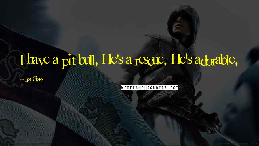 Ira Glass Quotes: I have a pit bull. He's a rescue. He's adorable.