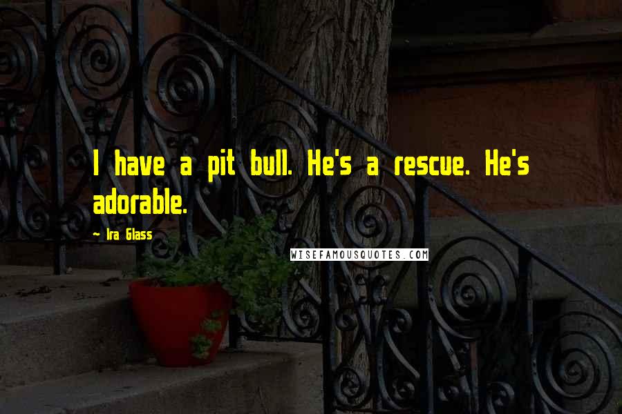 Ira Glass Quotes: I have a pit bull. He's a rescue. He's adorable.