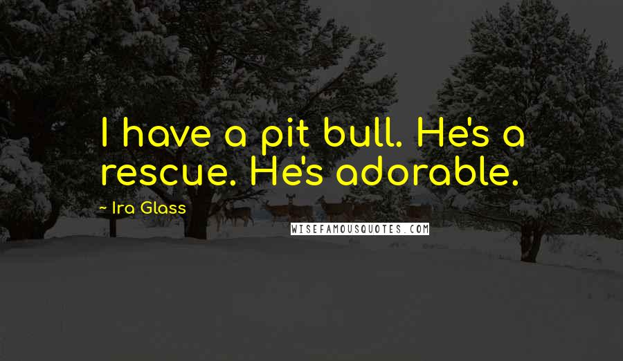 Ira Glass Quotes: I have a pit bull. He's a rescue. He's adorable.