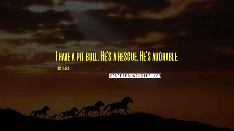 Ira Glass Quotes: I have a pit bull. He's a rescue. He's adorable.