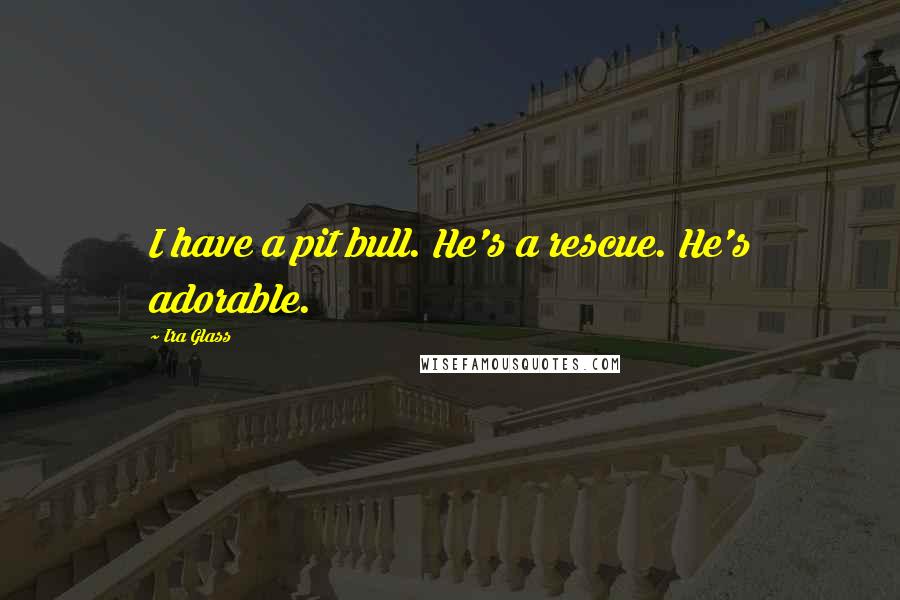 Ira Glass Quotes: I have a pit bull. He's a rescue. He's adorable.