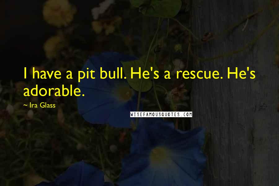 Ira Glass Quotes: I have a pit bull. He's a rescue. He's adorable.