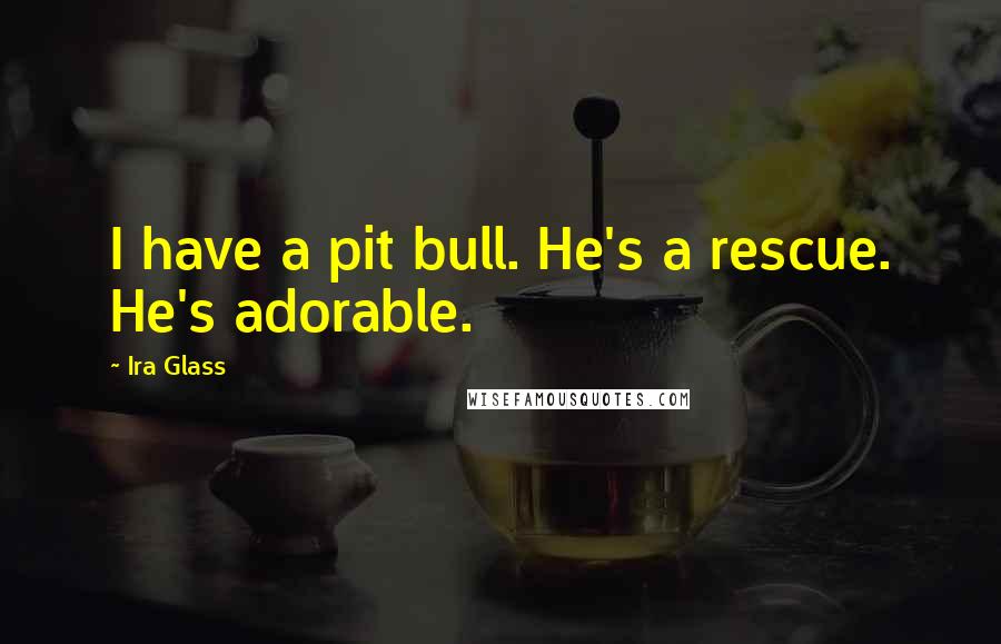 Ira Glass Quotes: I have a pit bull. He's a rescue. He's adorable.