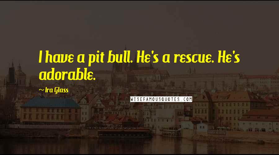 Ira Glass Quotes: I have a pit bull. He's a rescue. He's adorable.