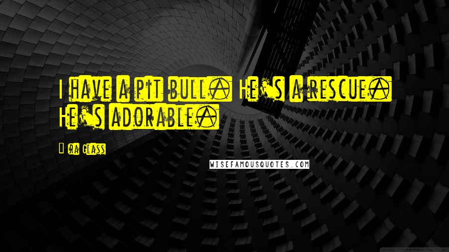 Ira Glass Quotes: I have a pit bull. He's a rescue. He's adorable.