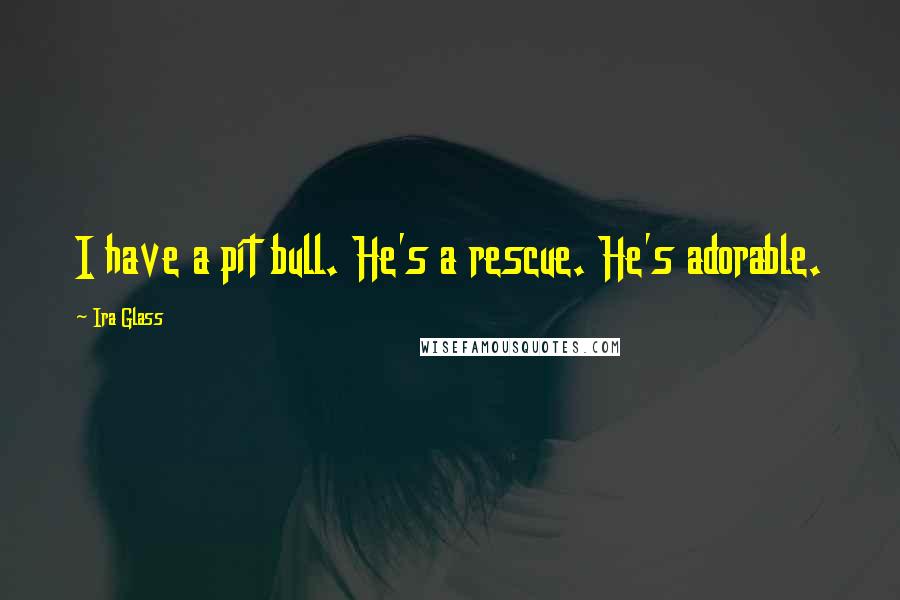 Ira Glass Quotes: I have a pit bull. He's a rescue. He's adorable.