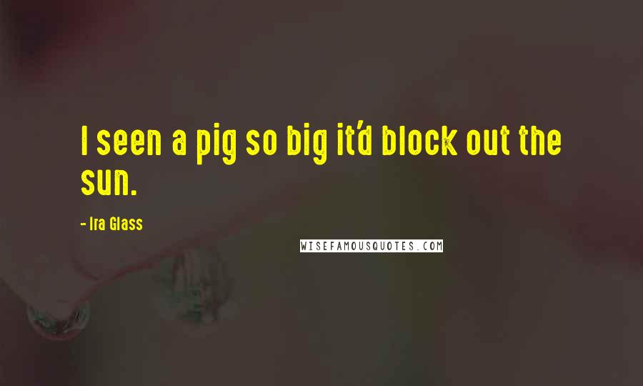 Ira Glass Quotes: I seen a pig so big it'd block out the sun.