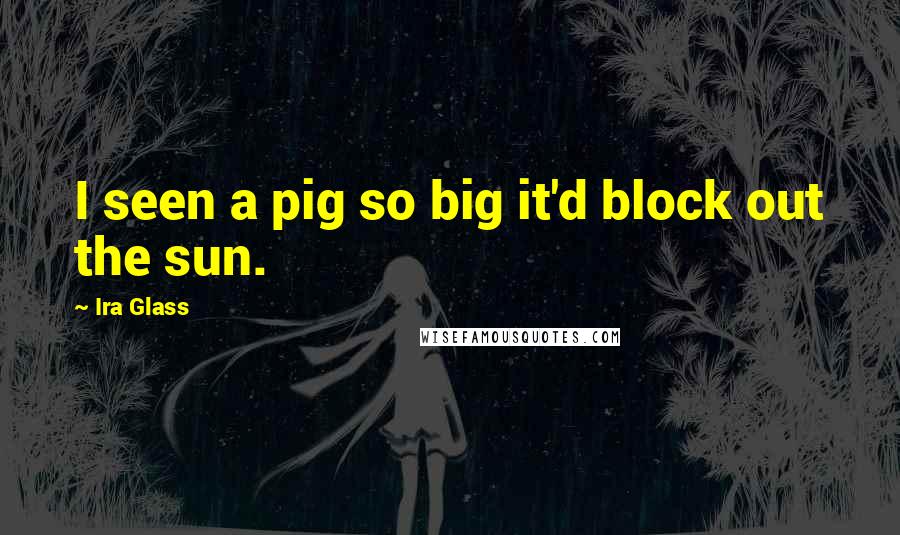 Ira Glass Quotes: I seen a pig so big it'd block out the sun.