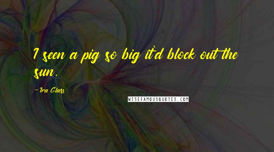 Ira Glass Quotes: I seen a pig so big it'd block out the sun.