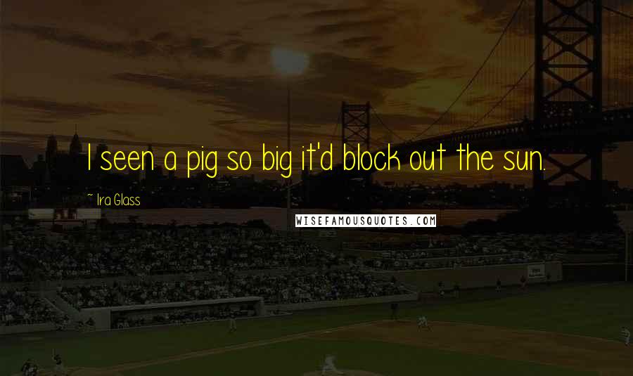 Ira Glass Quotes: I seen a pig so big it'd block out the sun.
