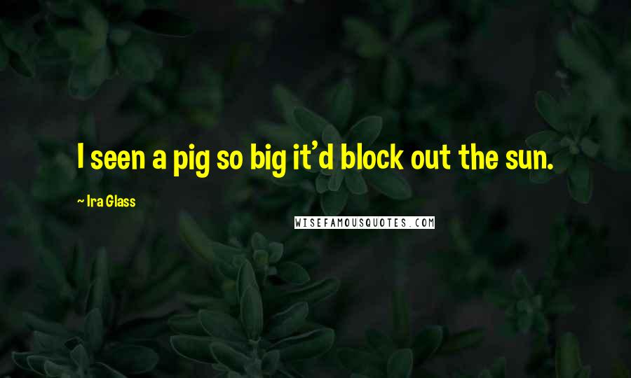 Ira Glass Quotes: I seen a pig so big it'd block out the sun.