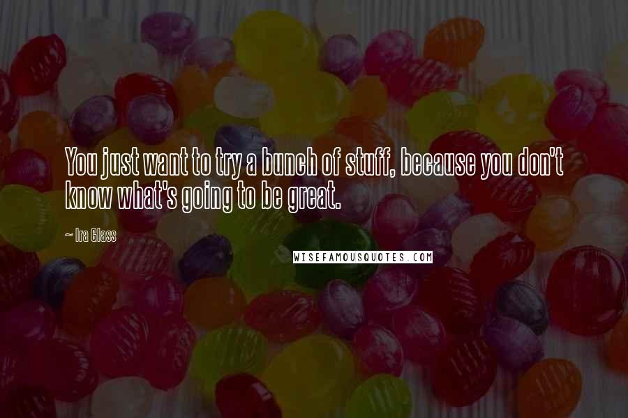 Ira Glass Quotes: You just want to try a bunch of stuff, because you don't know what's going to be great.