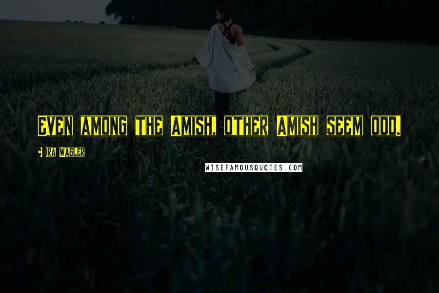 Ira Wagler Quotes: Even among the Amish, other Amish seem odd.