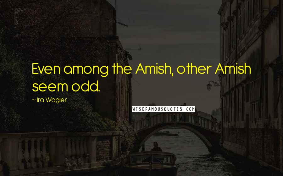 Ira Wagler Quotes: Even among the Amish, other Amish seem odd.