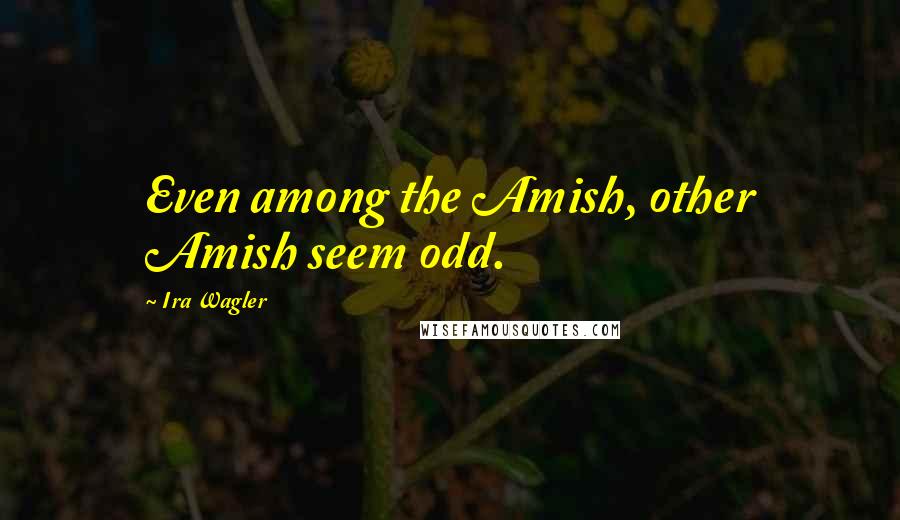 Ira Wagler Quotes: Even among the Amish, other Amish seem odd.