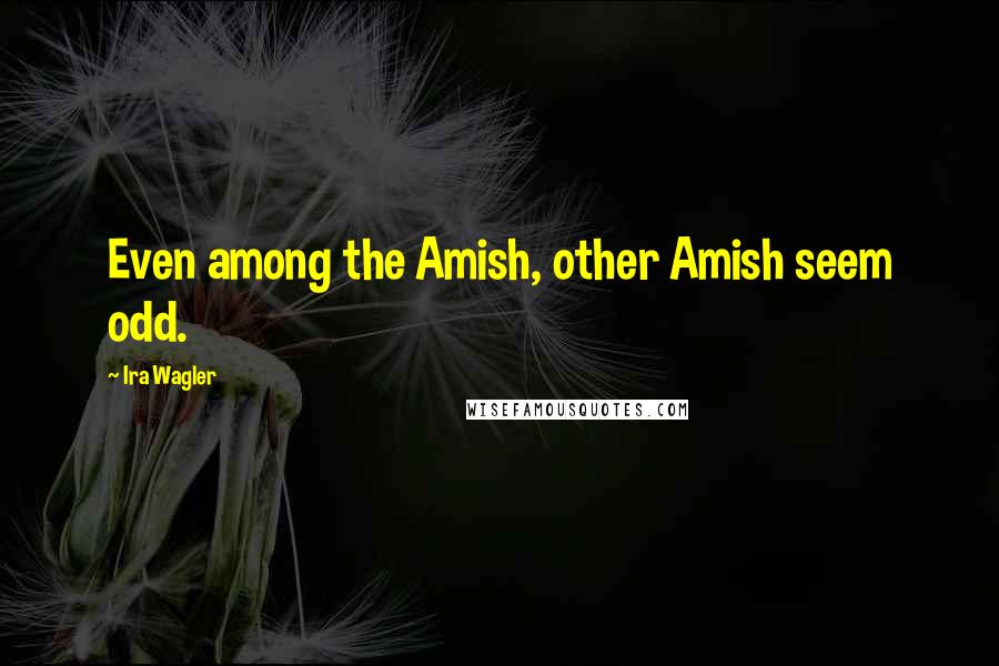 Ira Wagler Quotes: Even among the Amish, other Amish seem odd.