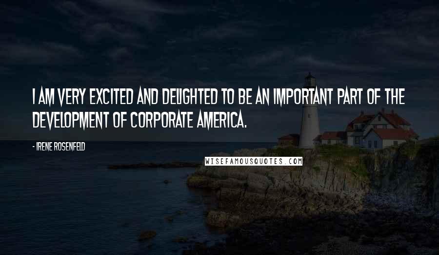 Irene Rosenfeld Quotes: I am very excited and delighted to be an important part of the development of corporate America.