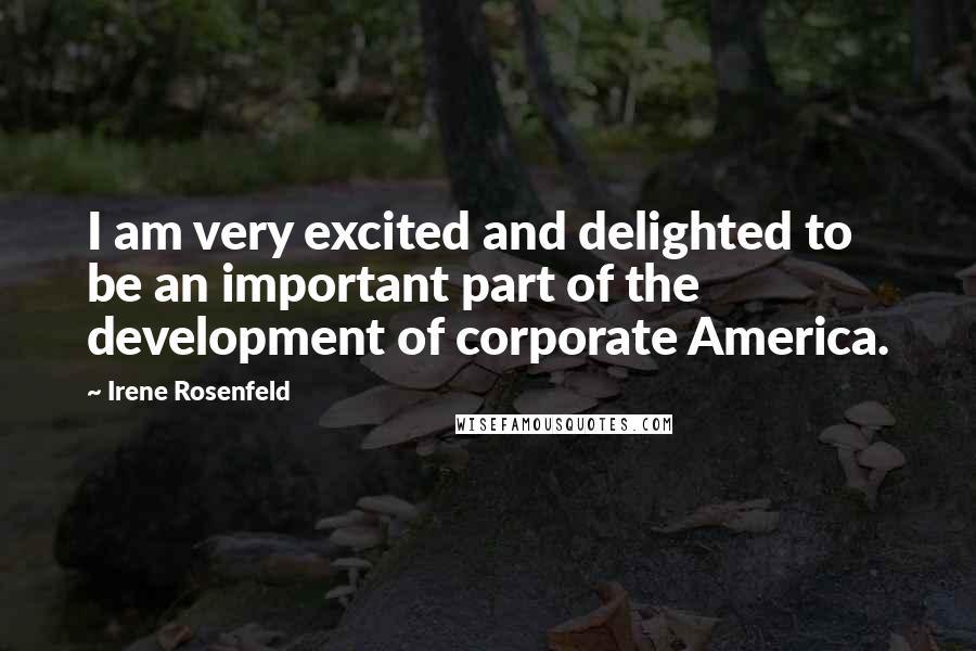 Irene Rosenfeld Quotes: I am very excited and delighted to be an important part of the development of corporate America.