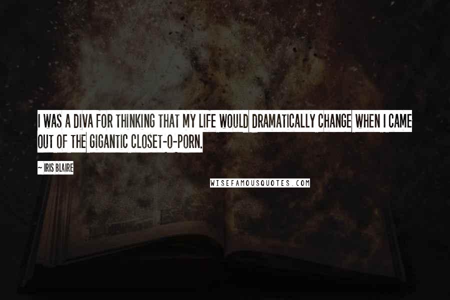 Iris Blaire Quotes: I was a diva for thinking that my life would dramatically change when I came out of the gigantic closet-o-porn.