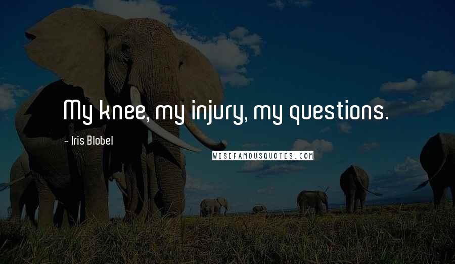 Iris Blobel Quotes: My knee, my injury, my questions.